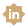 linkedin social link